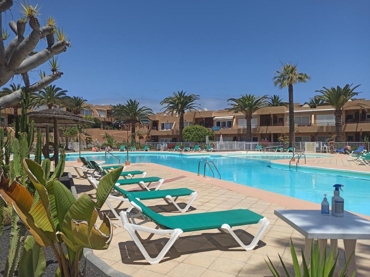 Alicebungalowpoolview-Summer Corralejo Bagian luar foto
