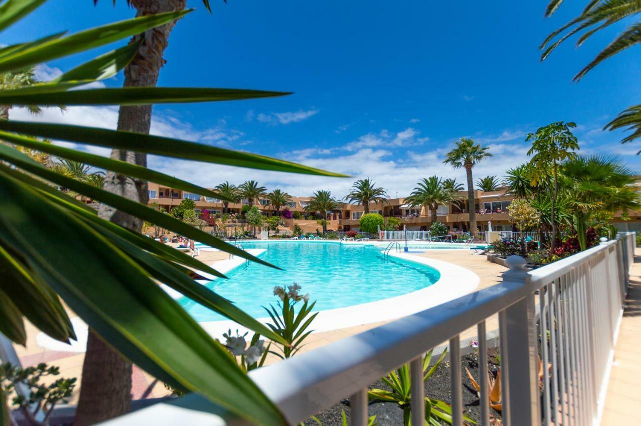 Alicebungalowpoolview-Summer Corralejo Bagian luar foto