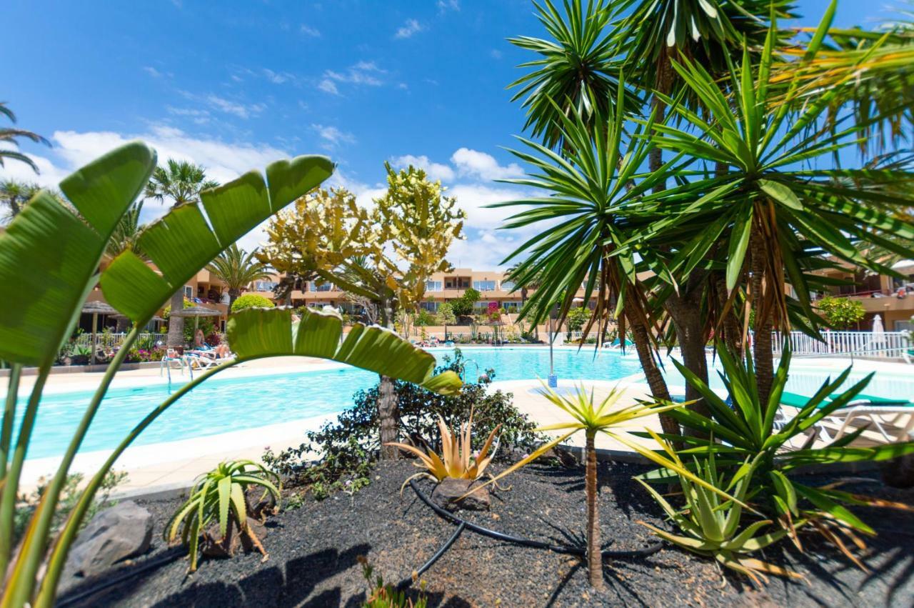 Alicebungalowpoolview-Summer Corralejo Bagian luar foto
