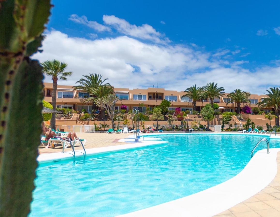 Alicebungalowpoolview-Summer Corralejo Bagian luar foto